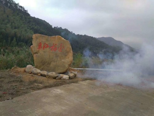 东江梅园旅行图片 1