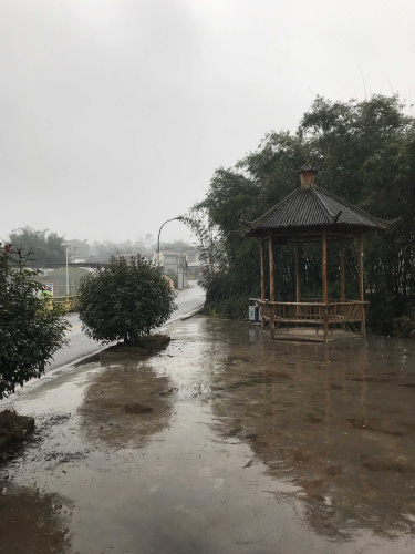 小龙虾文化广场旅行图片 1