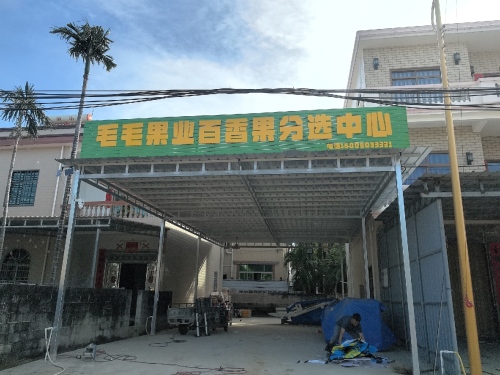 毛毛果业百香果分选中心