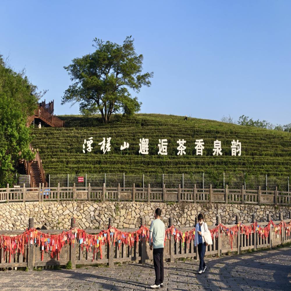 浮槎山景区景点图片