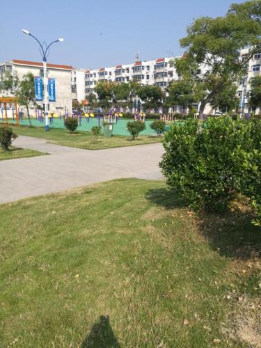 五农公园旅行图片 1