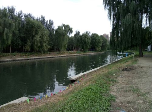 于洪怒江东公园旅行图片 3
