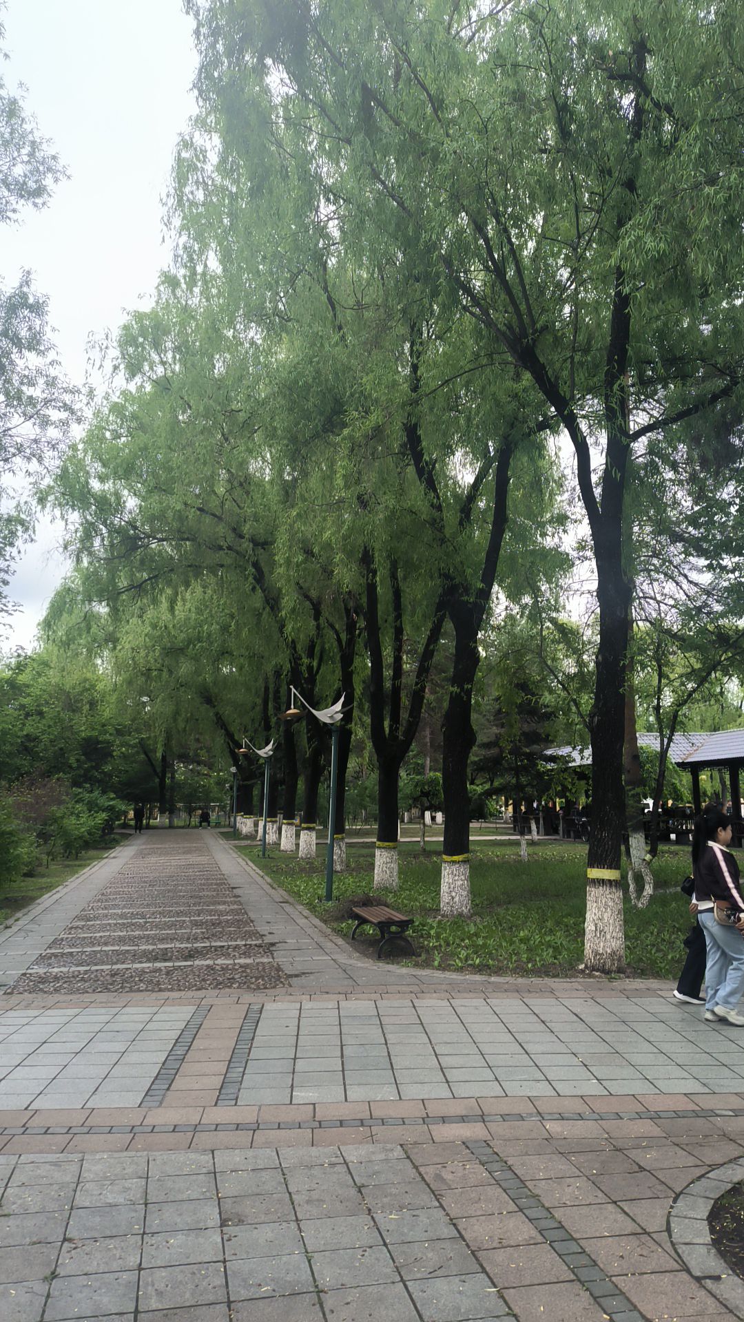 生命长河