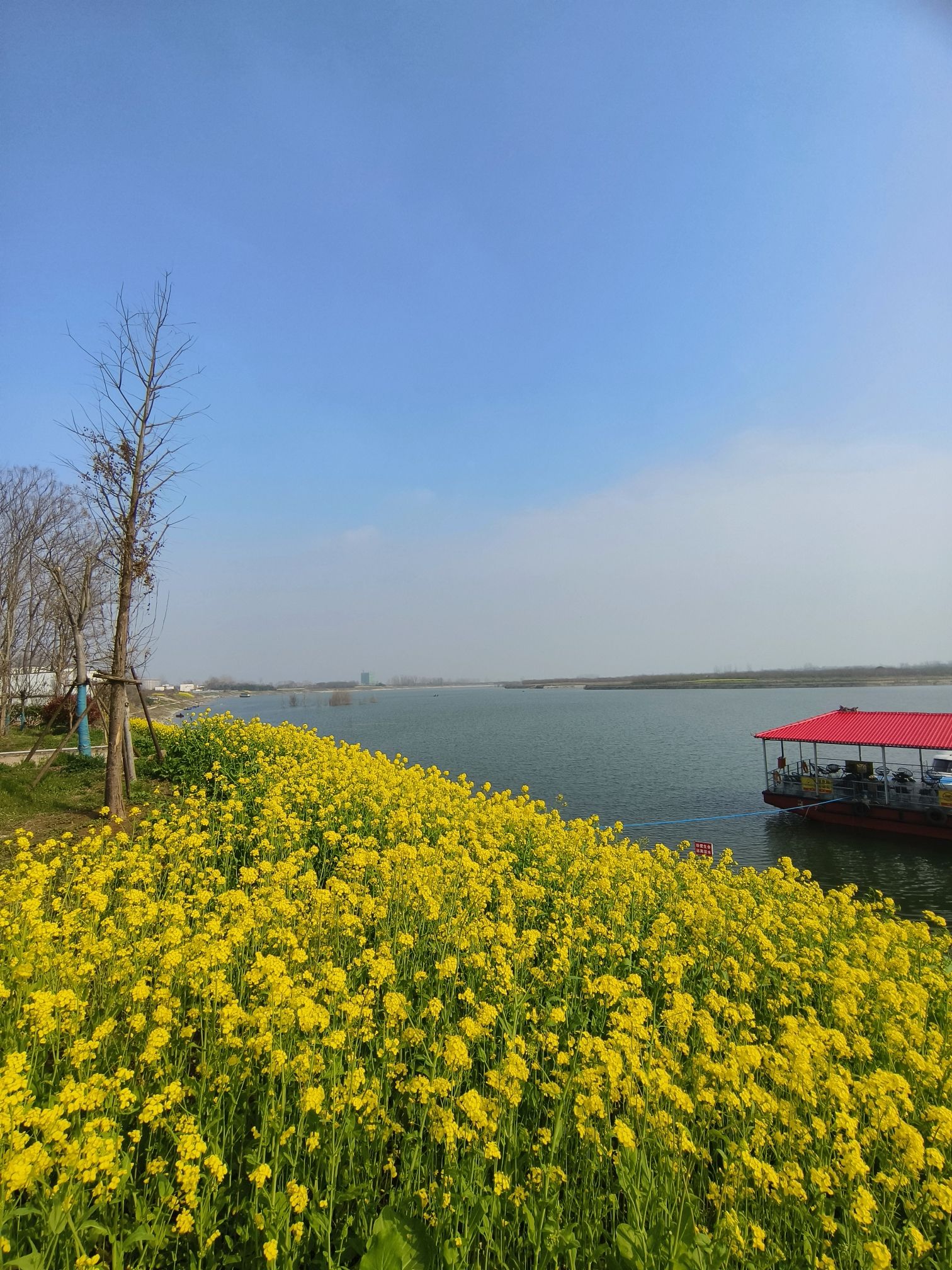 渡淮广场旅行图片 3