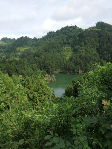 关口森林公园旅行图片 2