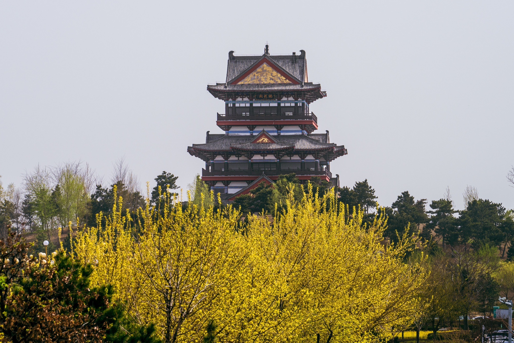 腾龙阁实景照片