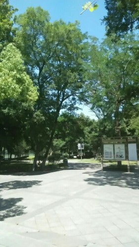 无为市绣溪公园旅行图片 3