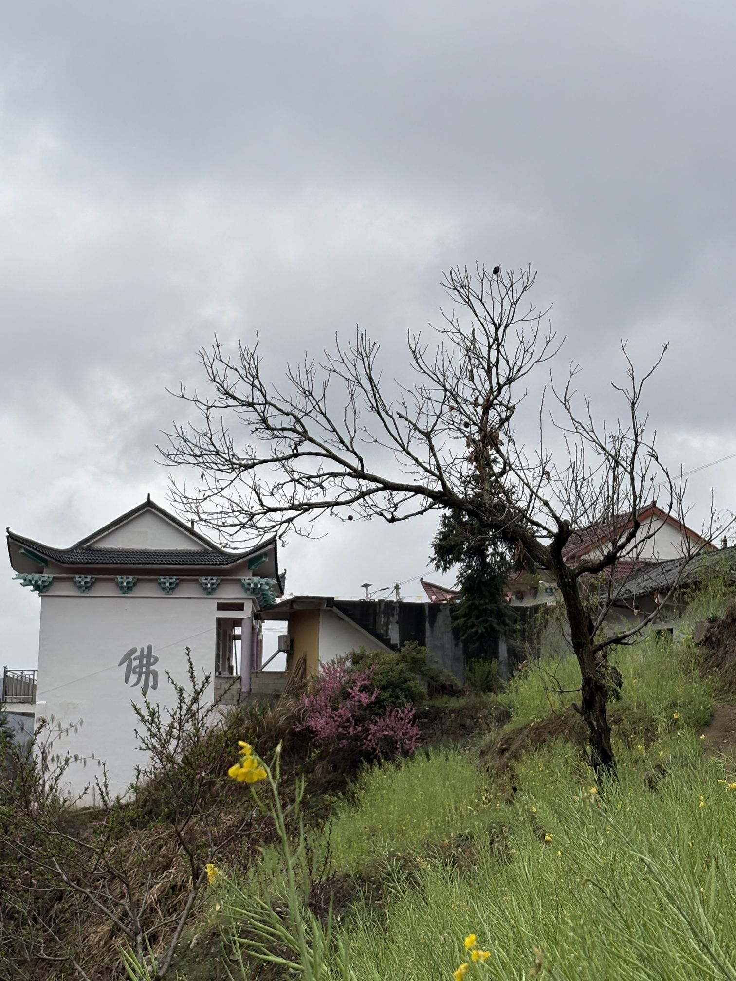 龙潭禅寺实景照片