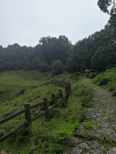 绿石林景区旅行图片 1