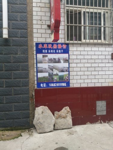 元古奇石林风景区旅行图片 1