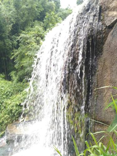 梧村狮峰生态旅游区旅行图片 3