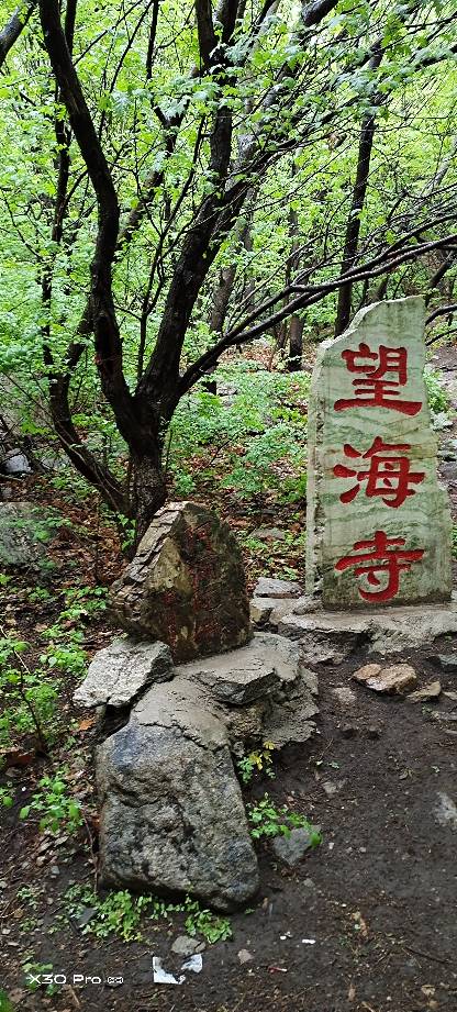青龙山望海寺实景照片
