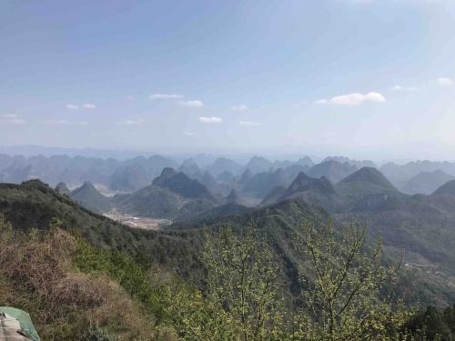 金山禅院旅行图片 1