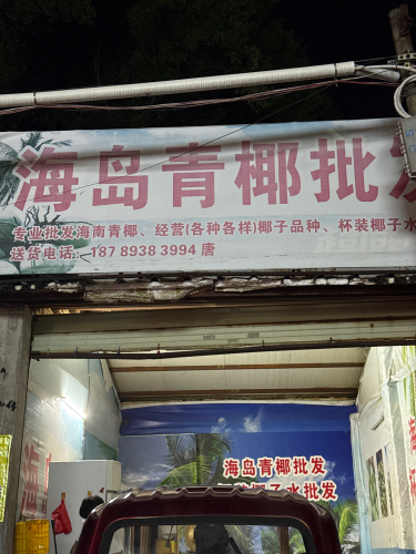 海岛青椰批发