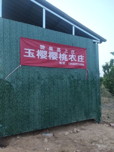 赞皇县上庄玉樱樱桃农庄