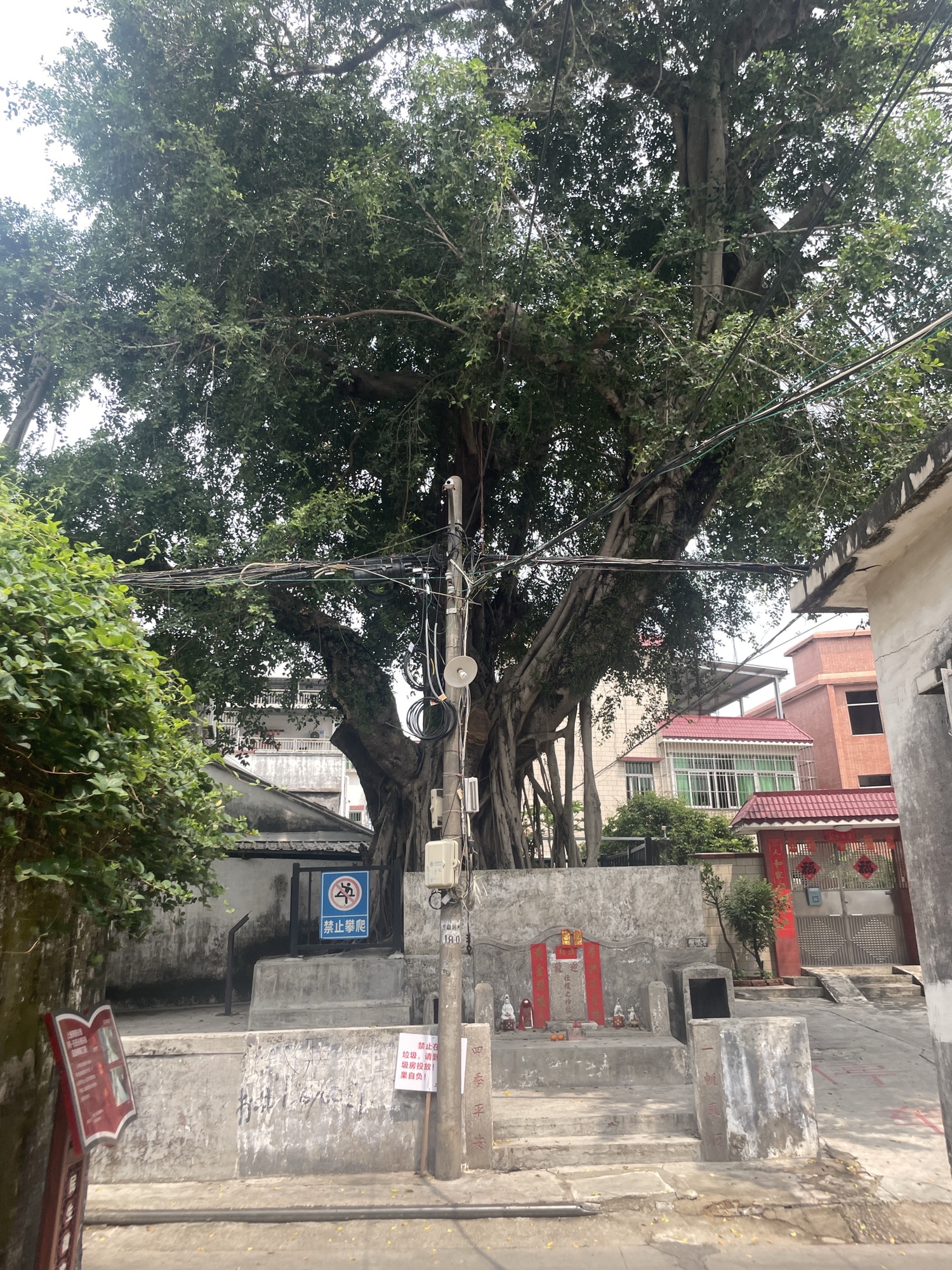 积庵卢公祠实景照片