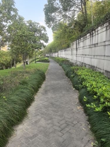 杨家山1号公园