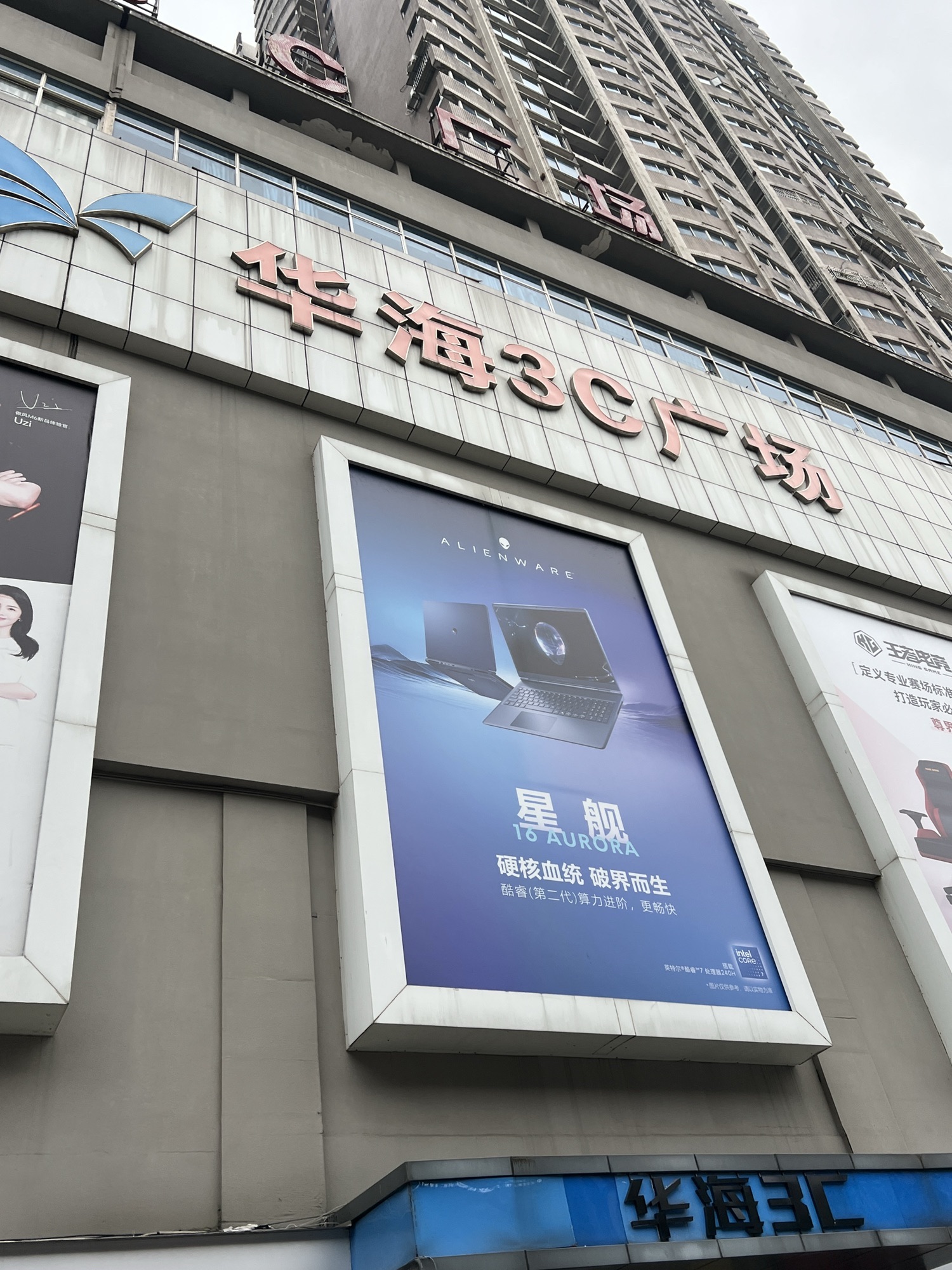 Gallery 3