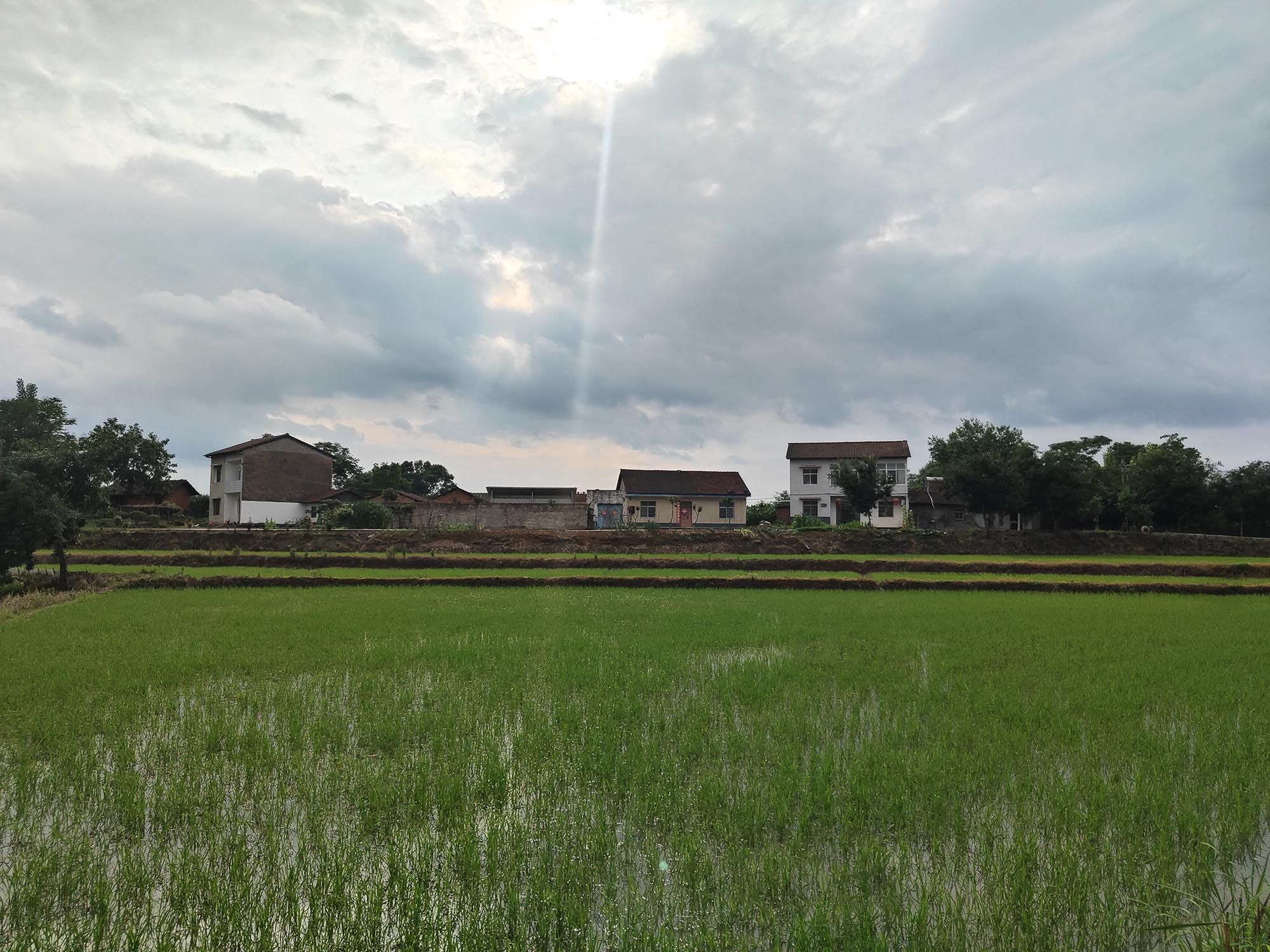五岳庙实景照片