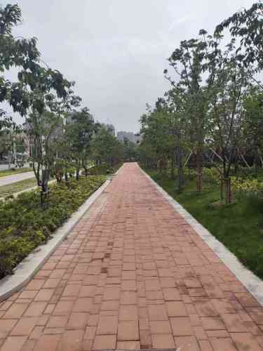 鸡鸣塘公园旅行图片 1