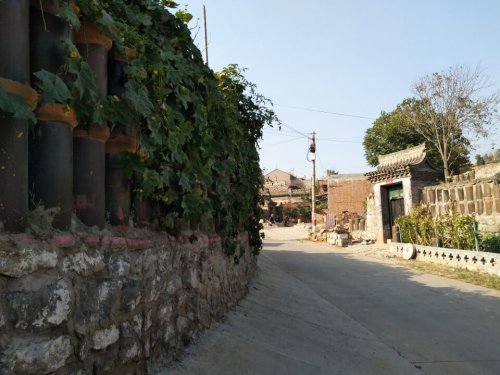 地道战遗址旅行图片 3