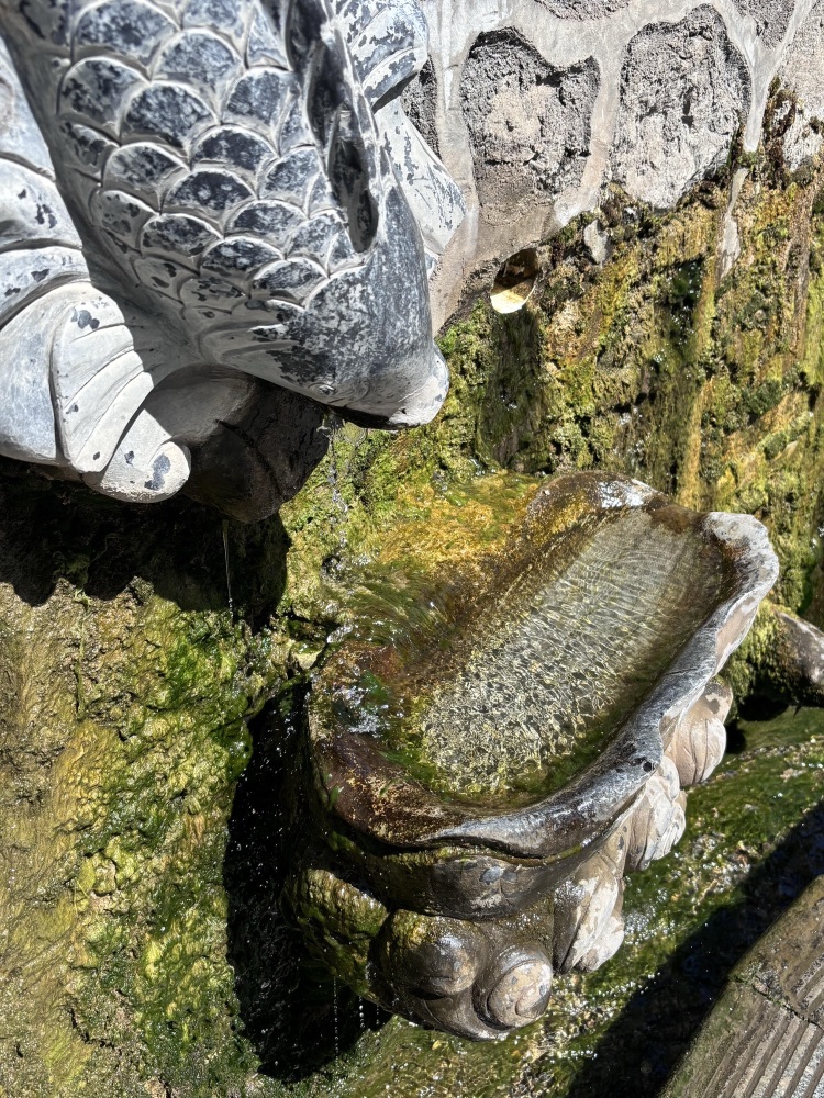 麒麟湾公园景点图片