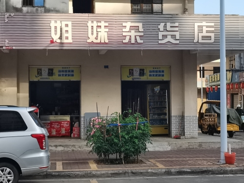 姐妹杂货店
