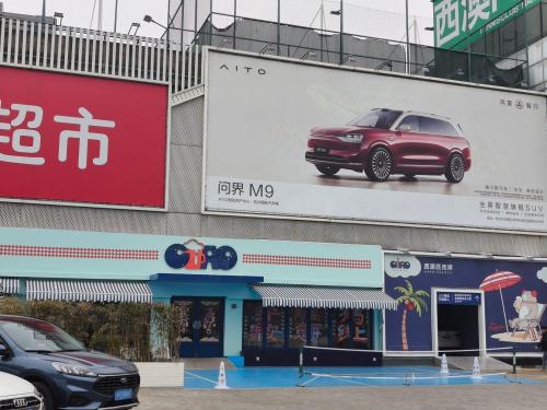 CIAO西澳匹克球