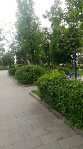 渤海广场旅行图片 2