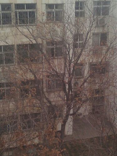 子路博物馆旅行图片 1