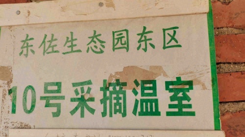 10号采摘生态园