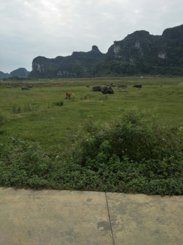毛塘湿地公园旅行图片 3