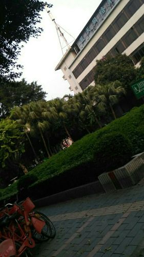 白燕公园旅行图片 1
