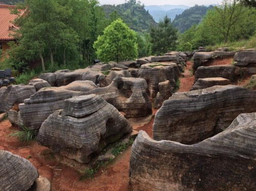 新石器遗址旅行图片 1