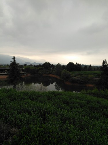 木凡言植多肉绿植园旅行图片 2