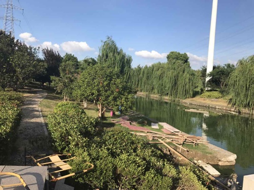 碧溪公园旅行图片 2