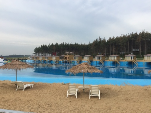 北纬44度·金珠花海休闲农业旅游景区旅行图片 2