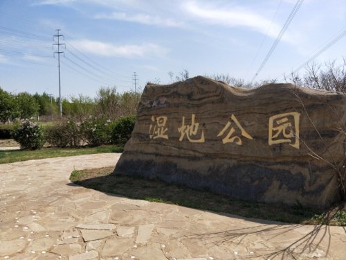 远大湿地公园