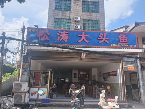 松涛大头鱼