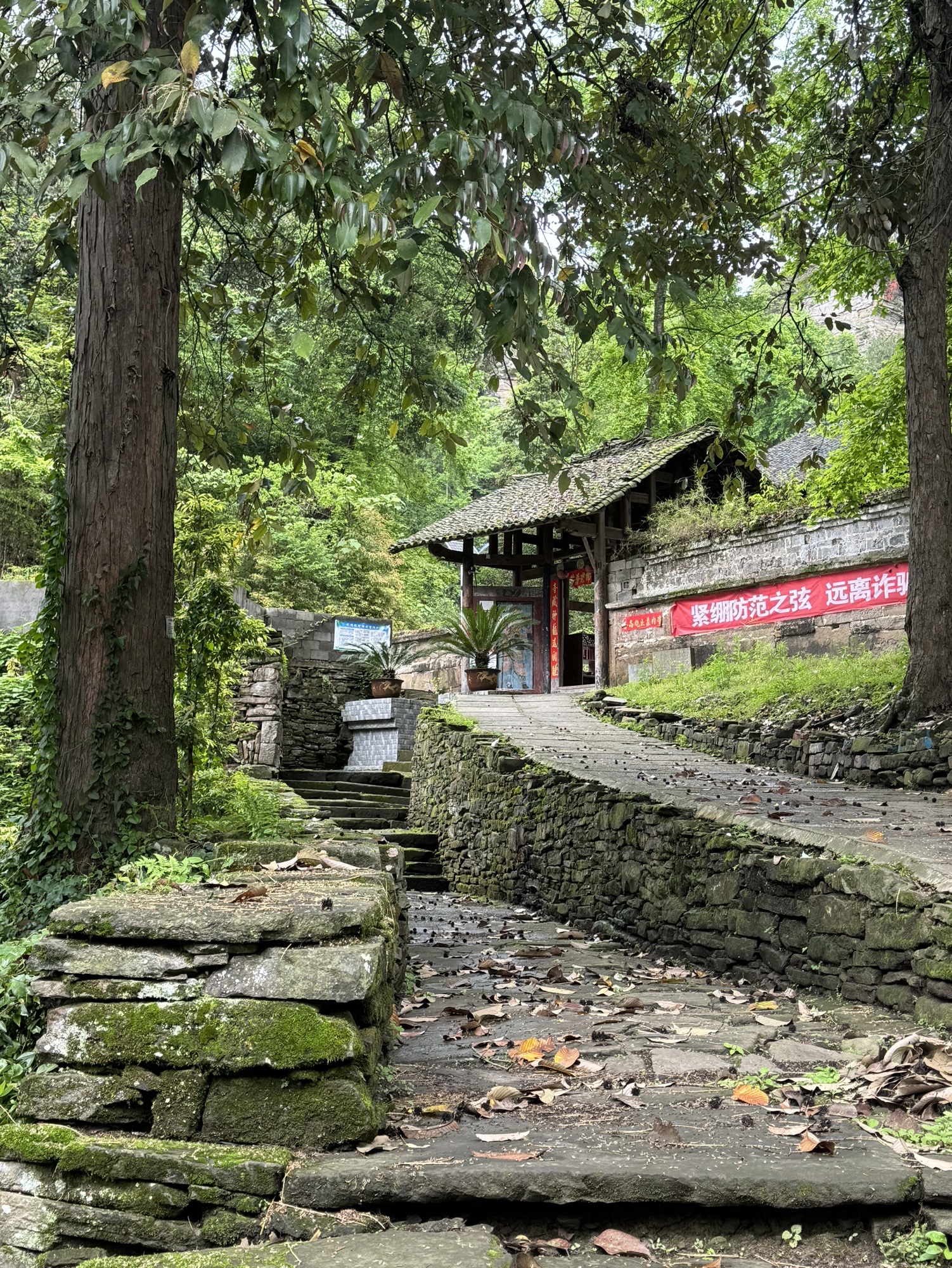 龙塘寺实景照片