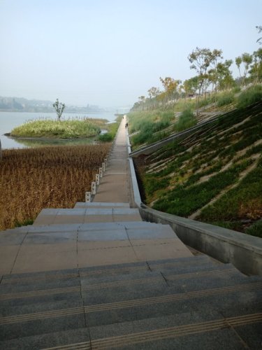 清溪湿地公园旅行图片 1