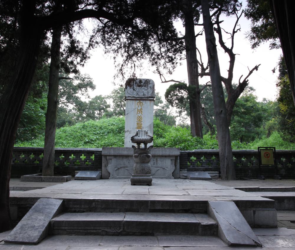 曲阜明故城(三孔)旅游区-孔林景点图片