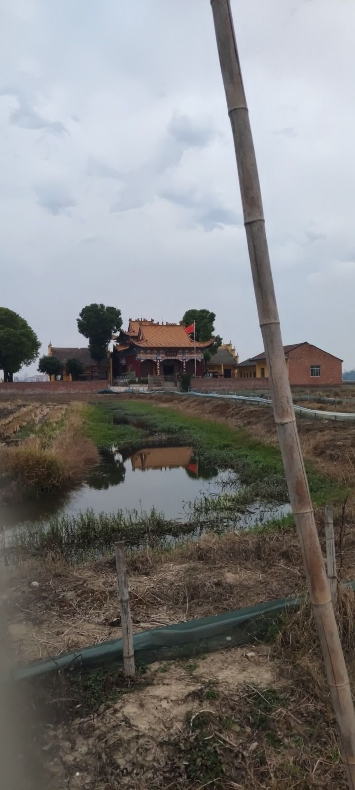 青龙山寺实景照片