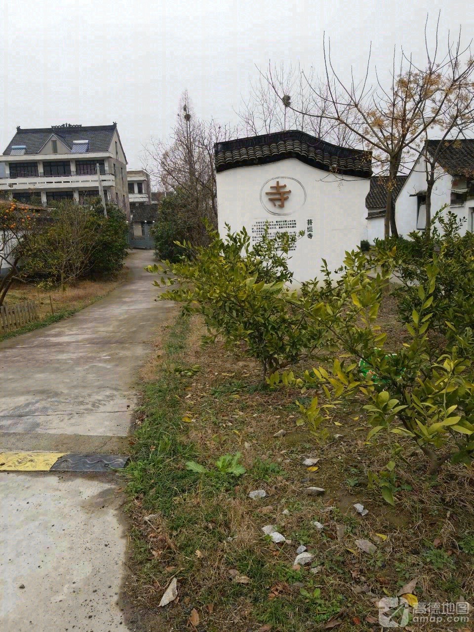 菩堤寺实景照片