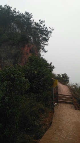 仁和寨景区旅行图片 1