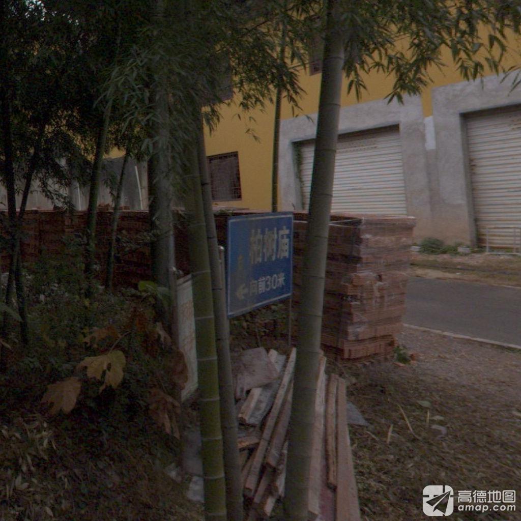 栢树庙实景照片
