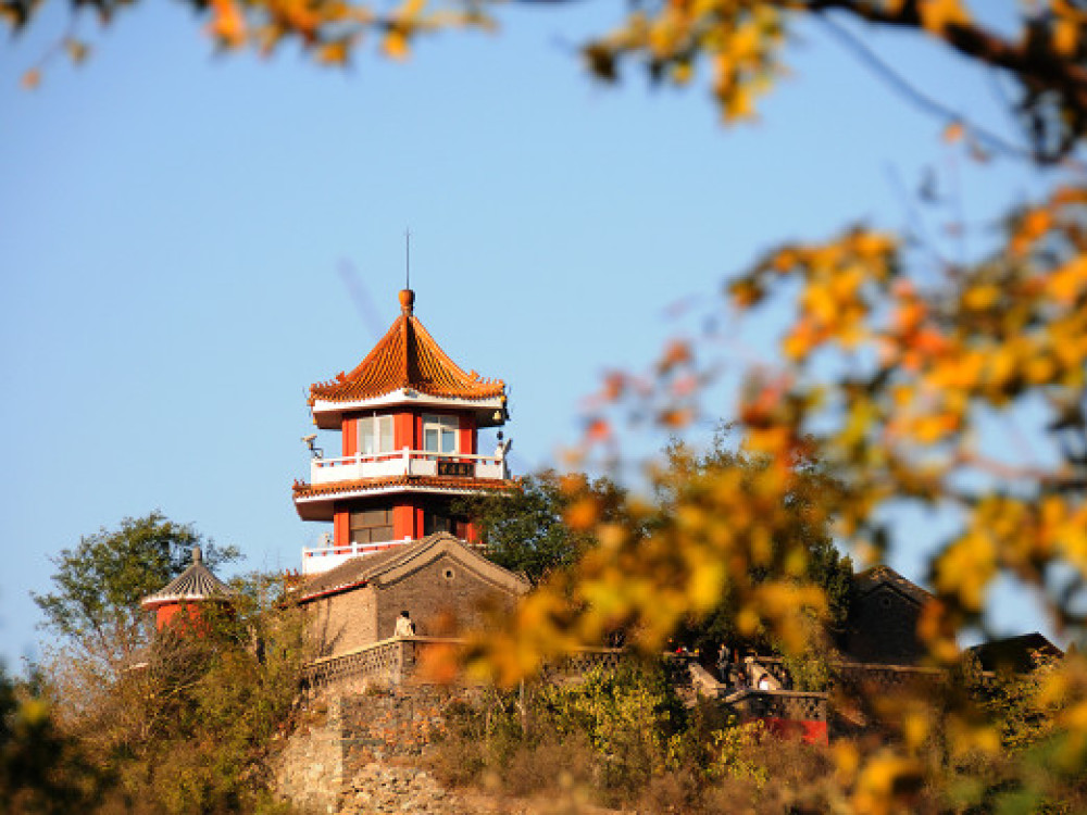 百望山森林公园景点图片
