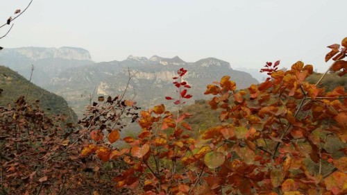 天乳山旅行图片 1