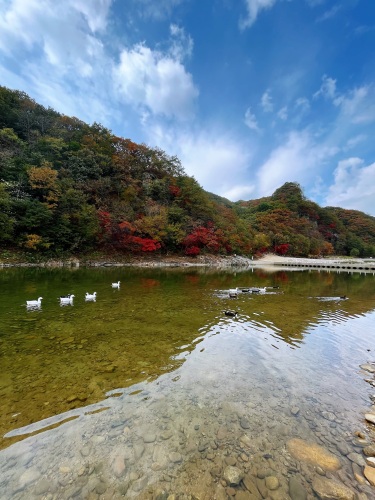 双龙山自然风景区