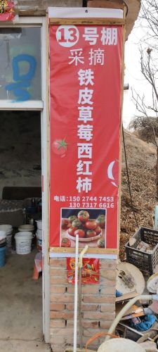 10号采摘生态园